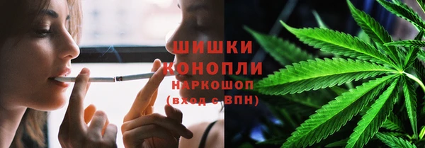 mdpv Богданович