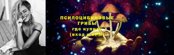 mdpv Богданович