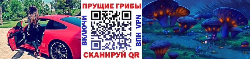 Псилоцибиновые грибы Psilocybe  где найти наркотики  Мыски 